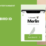 Merlin Bird ID app banner