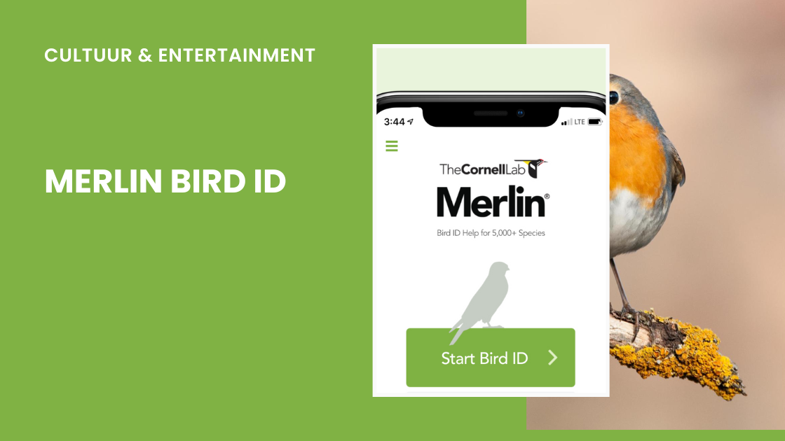 Welke vogel zingt zoals hij gebekt is?