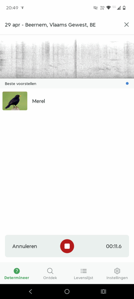 Opname van vogelgeluiden met onmiddellijke herkenning in Merlin Bird ID app.